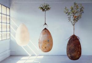 Ð ÐÐµÑÐ¼Ð°Ð½Ð¸Ð¸ Ð½Ð°Ð±Ð¸ÑÐ°ÐµÑ Ð¿Ð¾Ð¿ÑÐ»ÑÑÐ½Ð¾ÑÑÐ¸ Ð½Ð¾Ð²ÑÐ¹ Ð²Ð¸Ð´Ð¿Ð¾Ð³ÑÐµÐ±ÐµÐ½Ð¸Ñ â Ð² ÐºÐ°Ð¿ÑÑÐ»Ð°Ñ.Â Â 